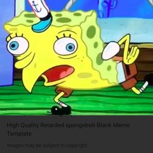 Meet your Posher, Ray